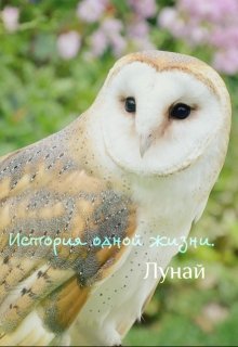 История одной жизни. — Лунай