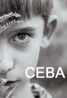 Сева — Д. Фархуллина