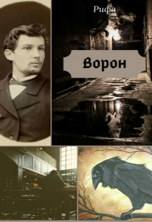 Ворон — Рифа