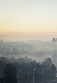 Город и Туман — Поэт