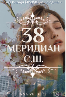 38 меридиан с.ш. — Inna Velguts