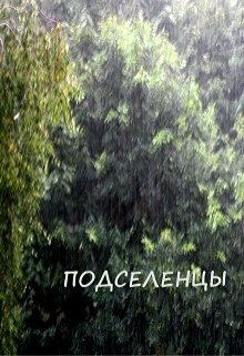 Подселенцы — Дана Обава