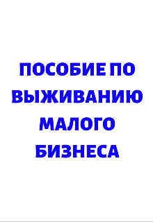 Пособие По Выживанию Малого Бизнеса — Кай Ханси