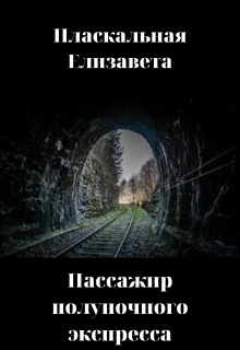 Пассажир полуночного экспресса — Пласкальная Елизавета