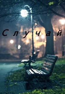 Случай — Эмир