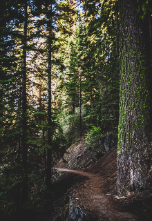 Счастливчик — Амита Скай