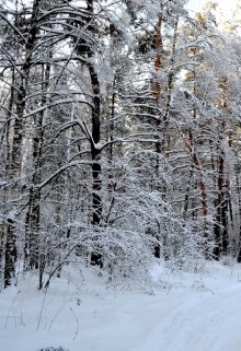 Люди — враги деревьев — Кирилл Грабовский