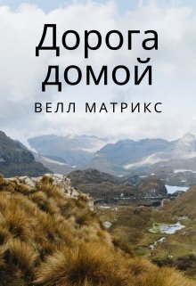 Дорога домой — Велл Матрикс