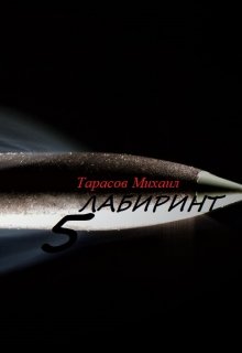 Лабиринт 5 — Тарасов Михаил