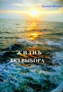 Жизнь без выбора — Евгения Шапиро