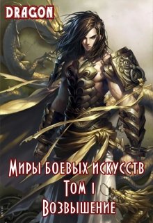 Миры боевых искусств. Том 1 Возвышение — Dragon N