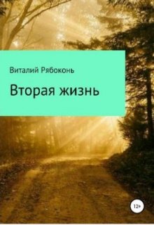 Вторая жизнь — Виталий Рябоконь