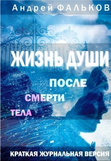 Жизнь души после смерти тела. Журнальная версия — Андрей