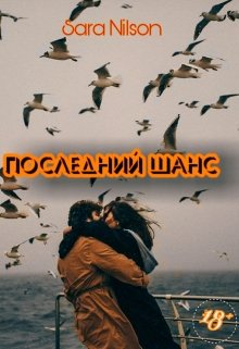 Последний шанс — SaN