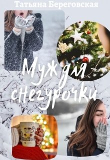 Муж для Снегурочки — Татьяна Береговская