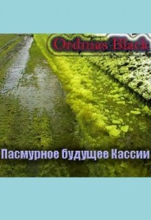 Пасмурное будущее Кассии — Ordmas Black