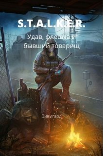 S.T.A.L.K.E.R. Удав, флешка и бывший товарищ — Зивигард Гордый