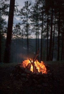 В погоне за собой — Хельга Вайс