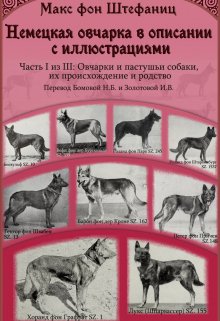 Немецкая овчарка в описании с иллюстрациями. Часть 1 из 3 — Ирина Золотова