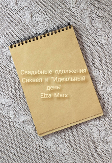 Свадебные одолжения (сиквел к «Идеальный день») — Elza Mars