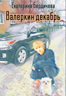 Валеркин декабрь — Екатерина Бердичева