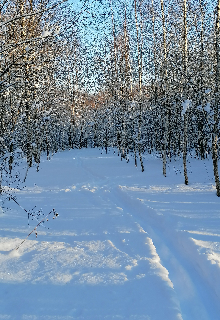 Стих про Зимушку — Юля Чикина