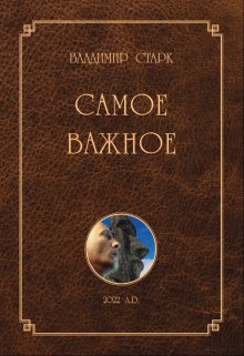 Самое Важное — Владимир Старк