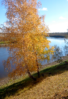 Камень — Алексей Омский